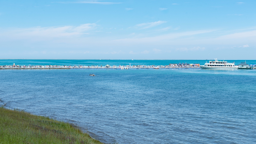 青海湖之夏