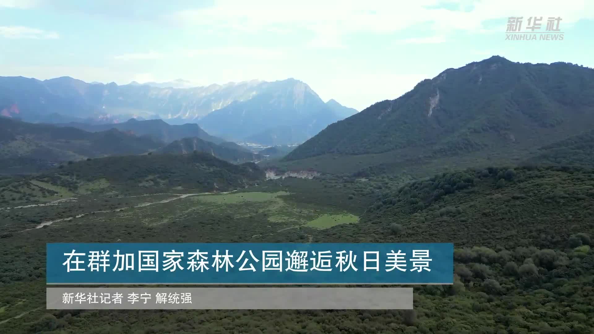 在群加国家森林公园邂逅秋日美景