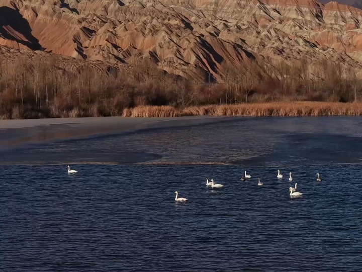青海贵德：冬日丹霞湖泊相映成景
