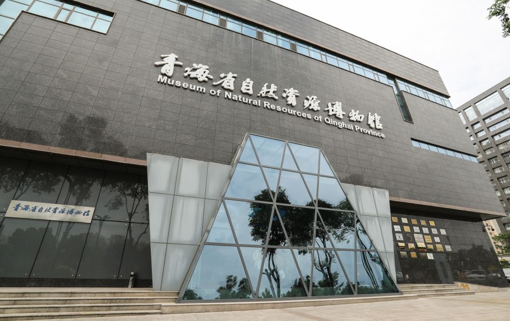 新华图库丨青海省自然资源博物馆