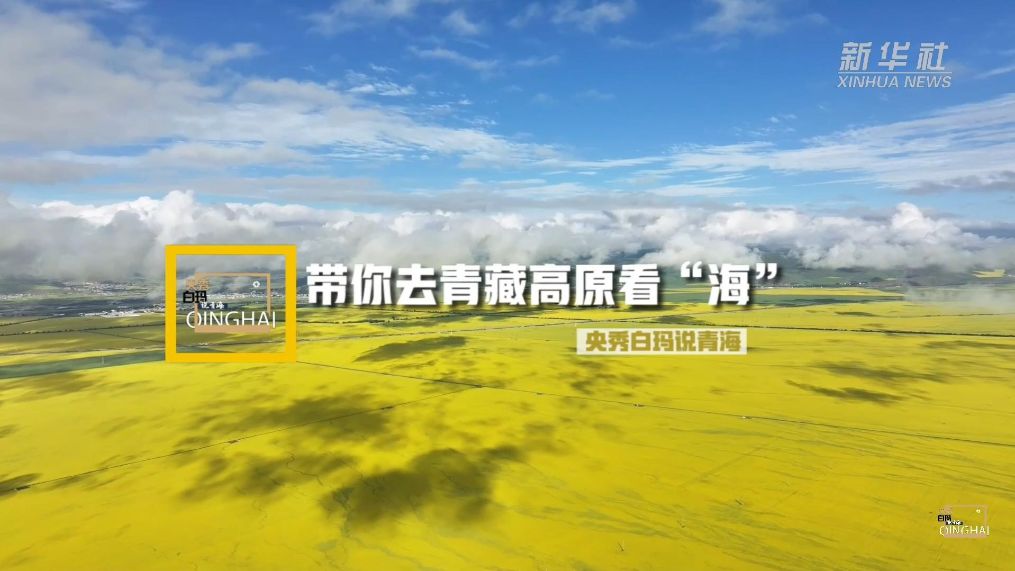 央秀白玛说青海 | 带你去青藏高原看“海”