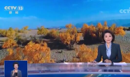 《CCTV13》格尔木 秋意吹拂将沙漠染成金色 享受自然馈赠
